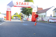 LEO_1166