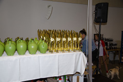 LEO_9882