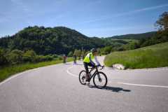 IMG-20250510-WA0025