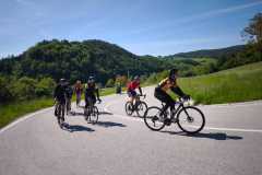 IMG-20250510-WA0029