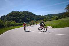 IMG-20250510-WA0030