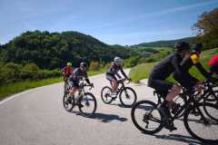 IMG-20250510-WA0031