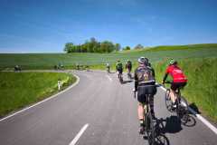 IMG-20250510-WA0062