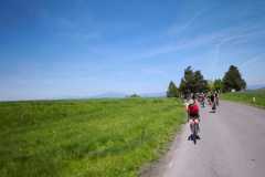 IMG-20250510-WA0067