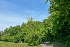IMG-20240512-WA0054