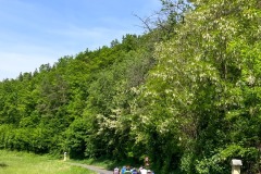 IMG-20240512-WA0055